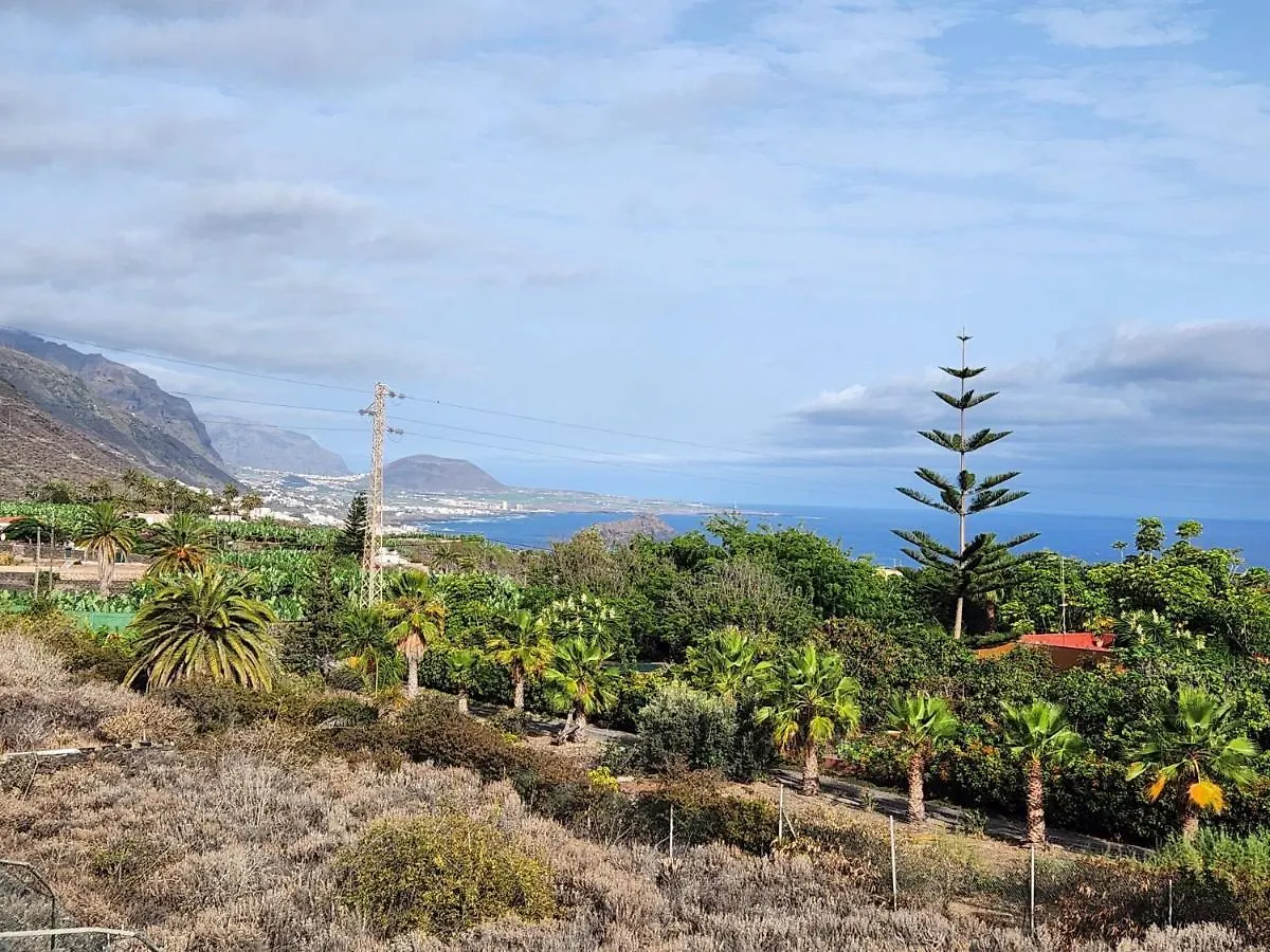 The Palm Villa Icod De Los Vinos