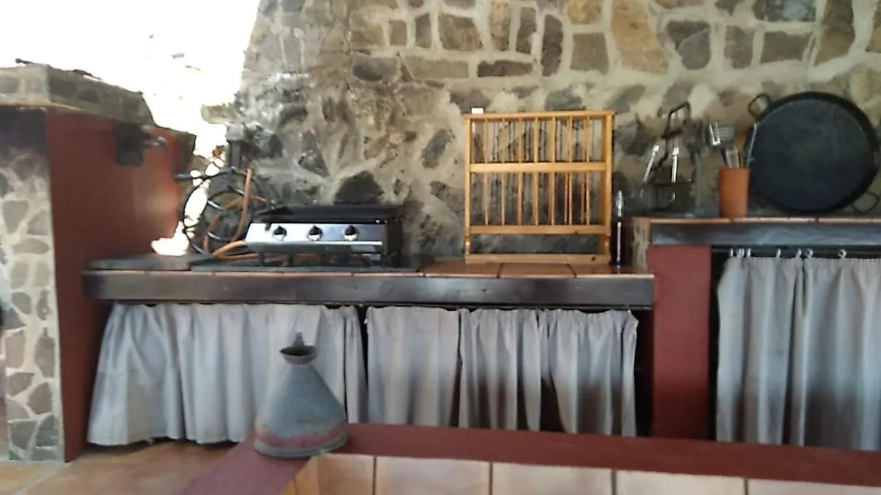 The Palm Villa Icod De Los Vinos