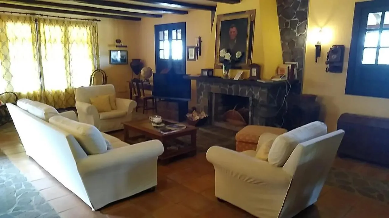 The Palm Villa Icod De Los Vinos