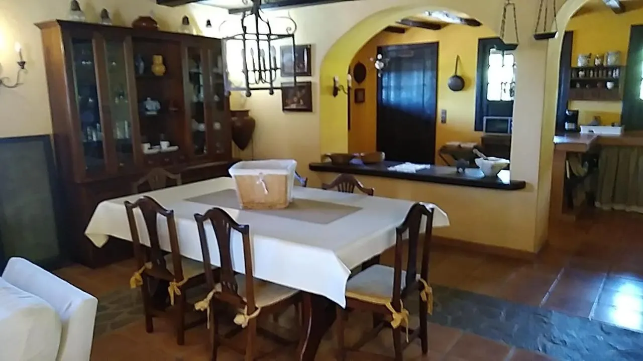 The Palm Villa Icod De Los Vinos Spain